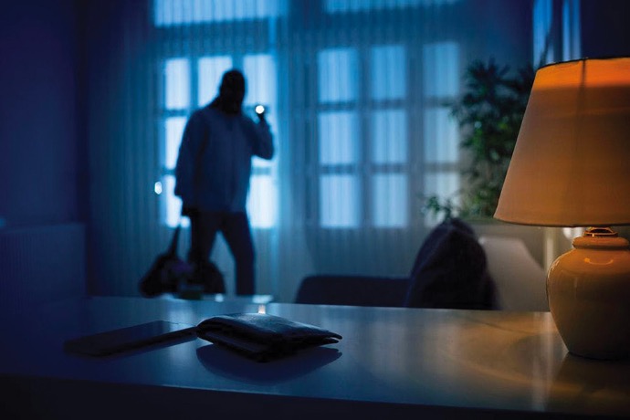 Un système d’alarme avec télésurveillance est la meilleure protection contre les intrusions et les effractions. 