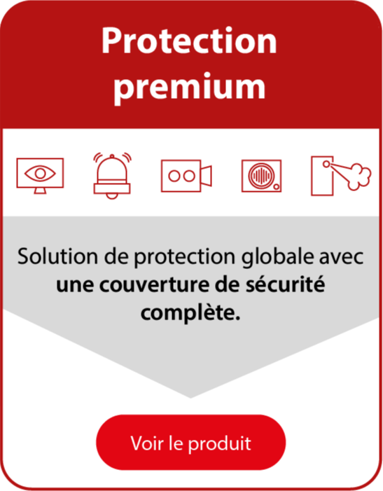 Pack de sécurité globale Prodis, système de surveillance, alarme, camera, contrôle d'accès.