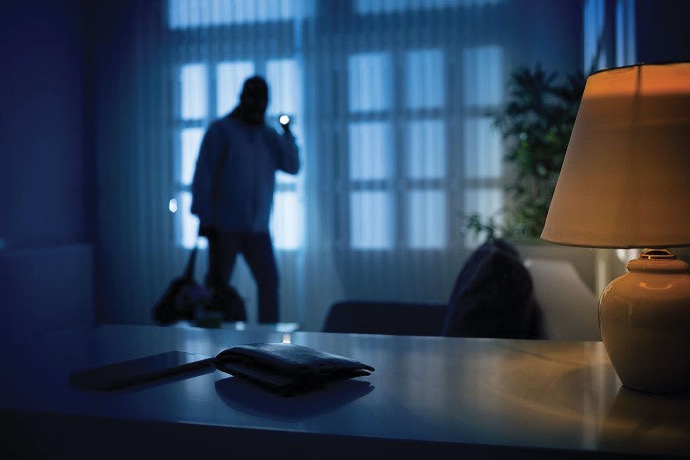Prodis alarme anti-intrusion, service de sécurité, système de surveillance, alarme maison